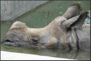 Im k�hlen Nass ...