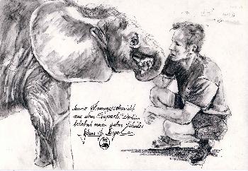 Tierpfleger mit jungem Elefanten Tierpark Berlin