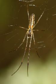 warten auf die Mahlzeit