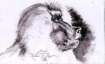 Der chef im Tierpark Hagenbeck