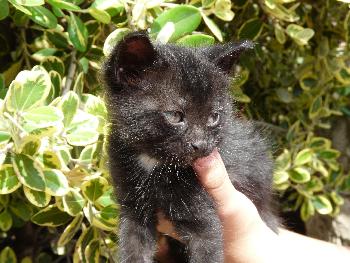 Kleiner (alleingelassener ?) Hotelbewohner ...