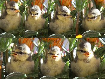 einfach auf dem Ausl�ser geblieben