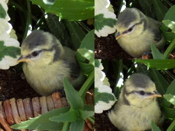 ersten Schock �berwunden