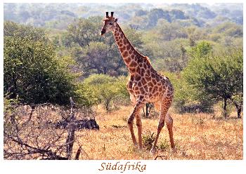 Auf der Suche nach Wasser