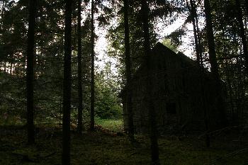 verlassener Hof im Wald, Nhe Egersknatten (Schweden)