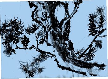 �bungen zur Sumi-e Technik Nr 24