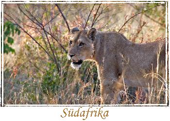 Wer schleicht den da?