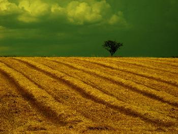 Starbug: Vor dem groen Regen (2)