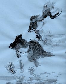 fortg.�bungen Goldfische