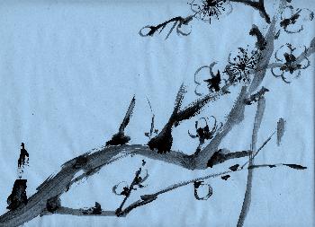 fortg.�bungen Plumtree 02