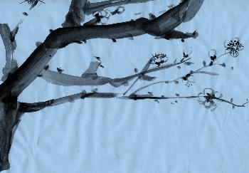 fortg.�bungen Plumtree 03