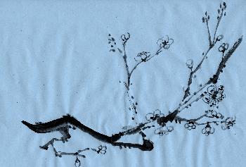 fortg.�bungen Plumtree 04