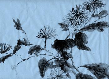 fortg.�bungenChrysathemum