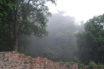 Nebel auf der Burgruine Collenberg