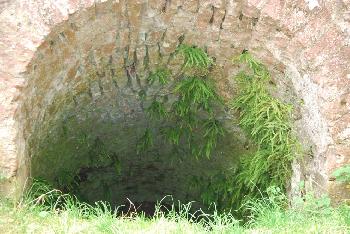 Farnbefall