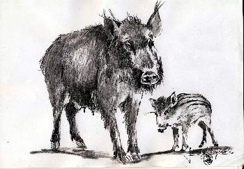 Bache mit Frischling