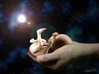 Africola: Ein neuer Stern