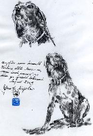 Pauline, Von der F�rstersgattin aus dem Heim gerettet 01