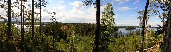 Panorama Lelang