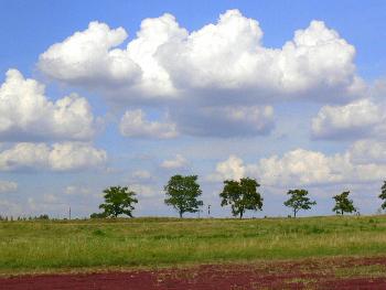 wiesodenn: Augusthimmel