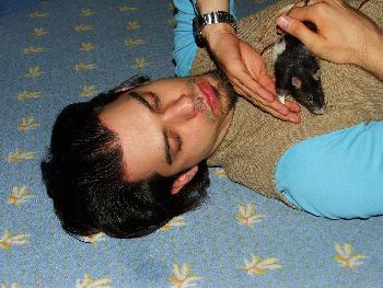 Das muss Liebe sein 3...