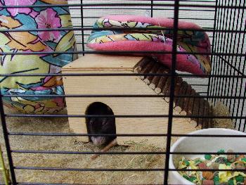 Nach einer anstregenden Fahrt muss man sich erstmal ausruhen