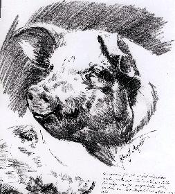 Was er auch hegt und Pflegt