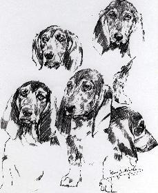 Donald von Hoheneichen 02