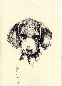 Schau mir in die Augen Kl......