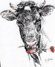  Schau mir in die Augen Kl. No 02