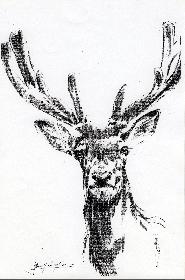  Schau mir in die Augen Kl. No 03