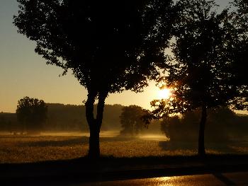 Vertr�umter Morgen ...