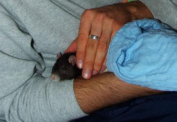 N�chtliche �hrchenmassage