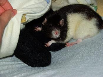 Was m�chtest du denn? Ich schlafe hier