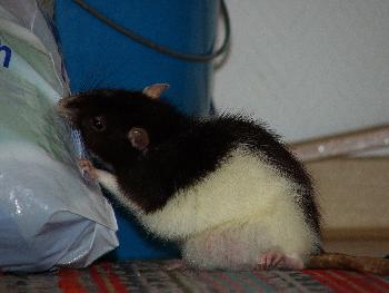 Dieses Ding geh�rt leider zu mir