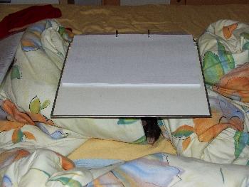 Broscha hat ein Nest im Bett gefunden