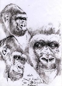 Viatu Der Neue in Frankfurt