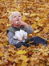 Battle-Art-Fotografie - Vertrauter Herbst #2