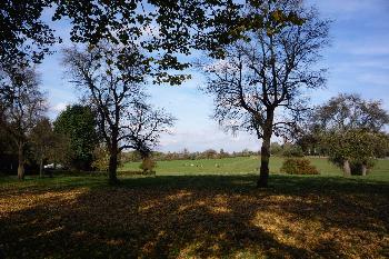 July64: Herbstlandschaft