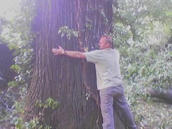 So dick darf sie nicht sein