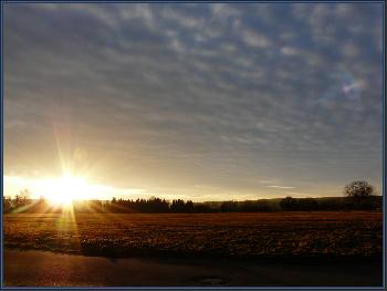 Shining Star ...