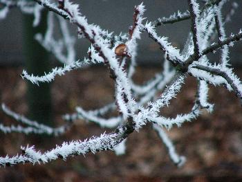Battle-Art-Fotografie - Eiskalt #4
