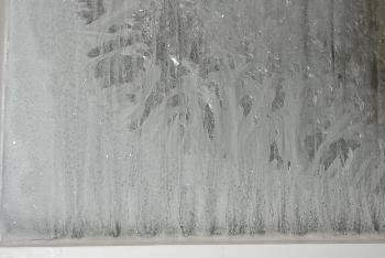 Eisblumen_Beginn `09