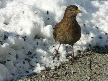 Was ist denn da hinten los? .oO