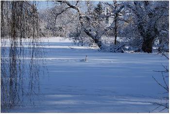 Vermutlich eingefroren