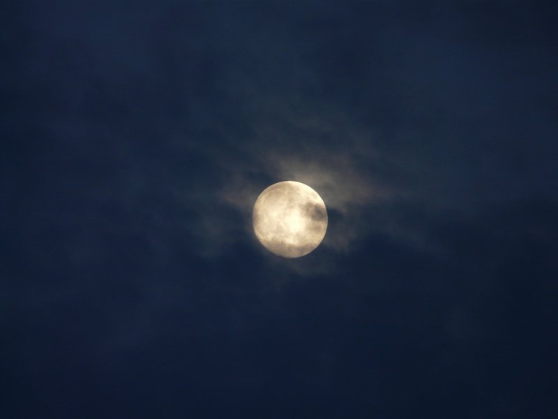 Moonlight ...