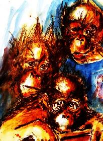 Orangjunge Wilhelma 74