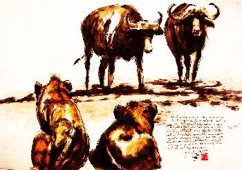 African Wild Life Zwei zu Zwei