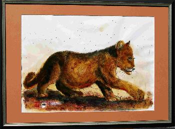 African Wild LifeJungl�we