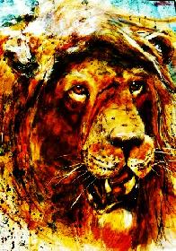 African Wild Life der Rudelf�hrer